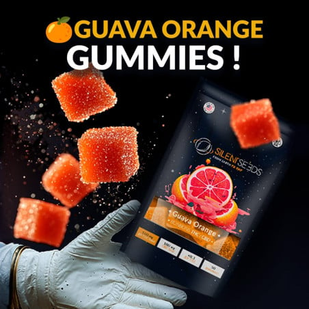 Gummies THC + CBD | Guava Orange